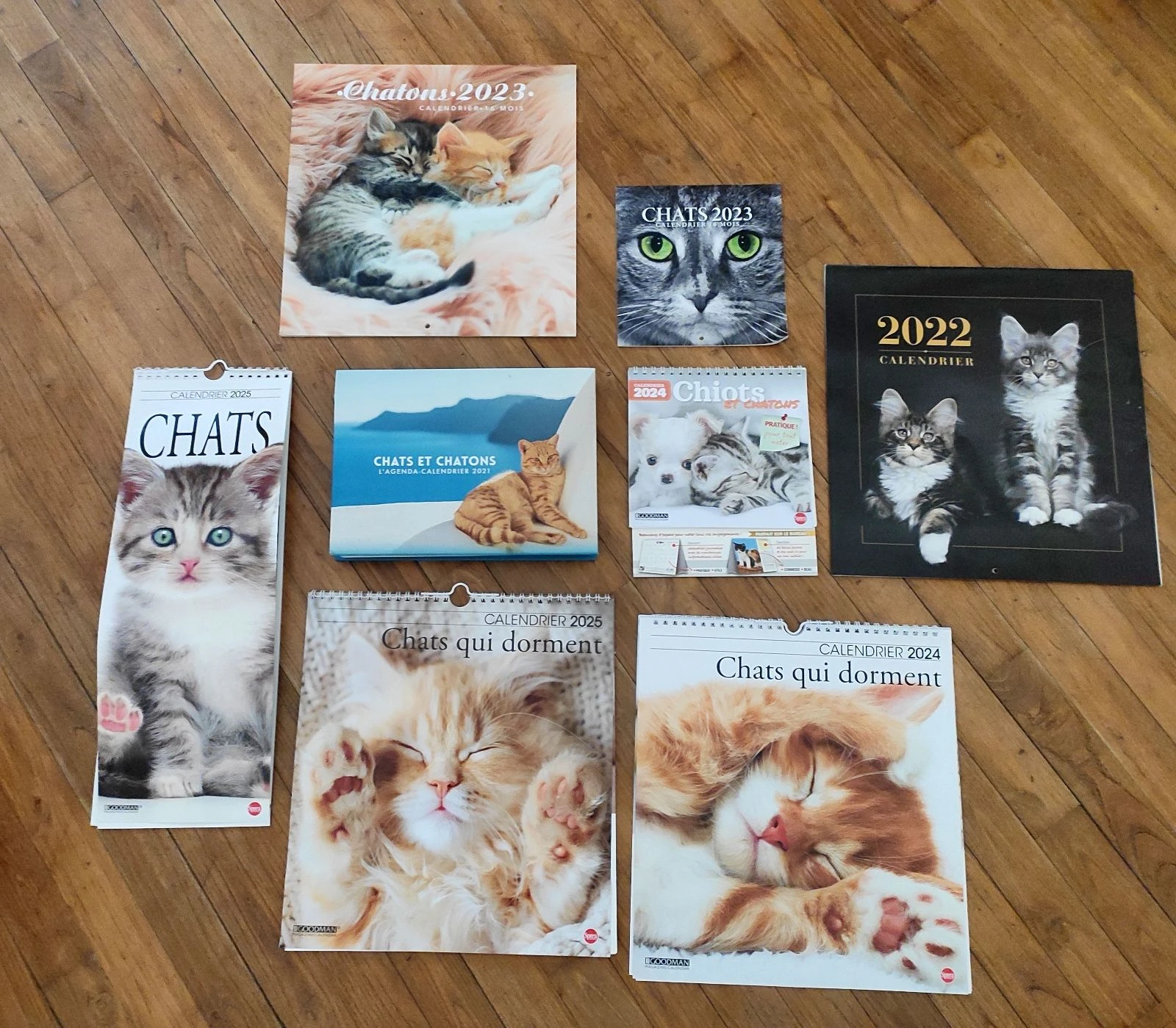 Lot calendriers de chats 
